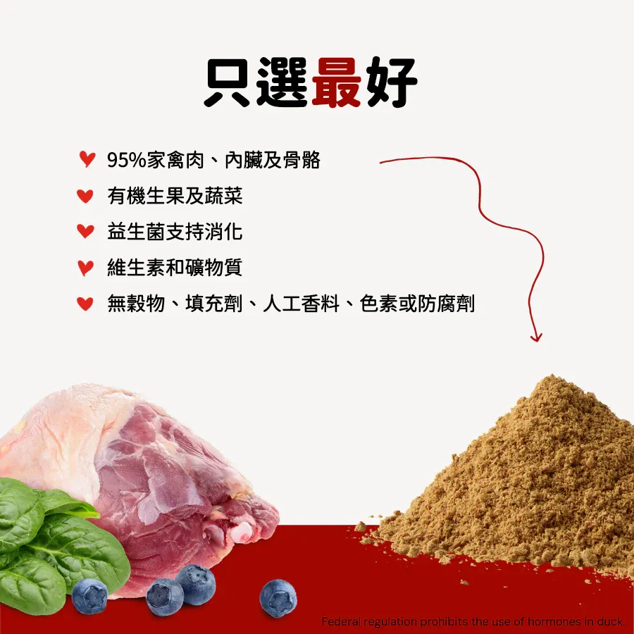 魔幻肉塵 - 放養鴨鴨鵝配方 - Image 3