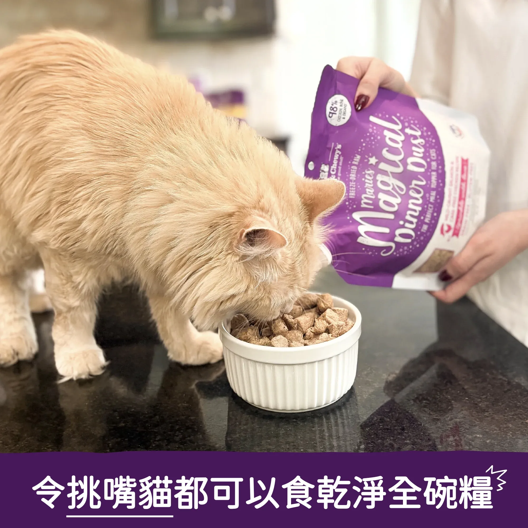 貓咪魔幻肉塵 - 三文魚及雞肉配方 - Image 9