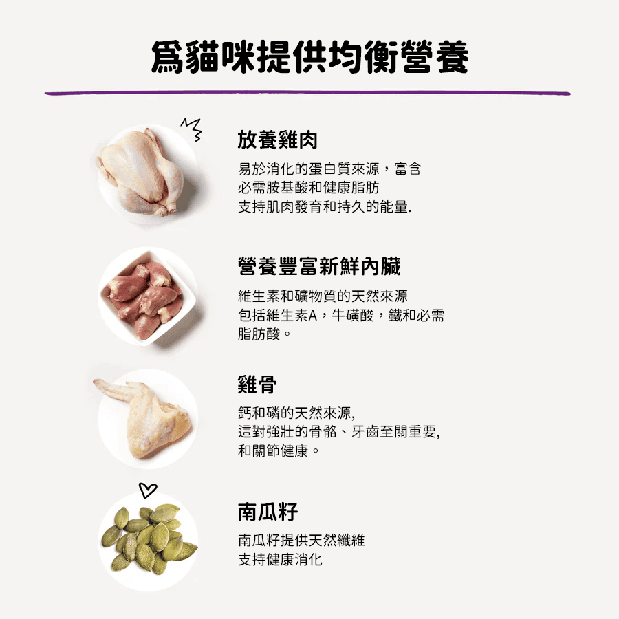 貓咪魔幻肉塵 - 放養雞配方 - Image 8