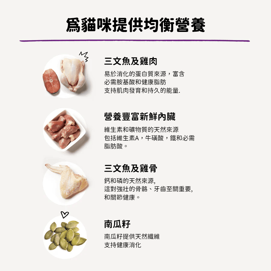 貓咪魔幻肉塵 - 三文魚及雞肉配方 - Image 8